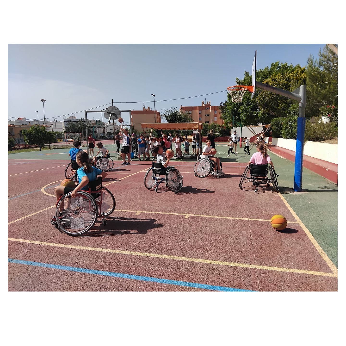 El 24 de Mayo el Cric Ses salines y la fundación David Booth asistieron al CEIP Puig Den Valls a realizar actividades con sus alumnos en el proyecto “Juguem Junts”.Agradecer al CEIP Puig den Valls por trato y a nuestro patrocinador Vibra Hotels por el transporte del material. #JuguemJunt #MesQBasquet#Deporte adaptado#Inclusion @sant_josep_de_sa_talaia @santjosep_enforma @fundaciondavidbooth @colonyacaixa @vibrahotels @consell_eivissa